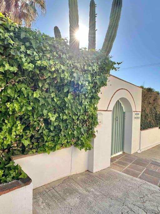 לה קאלה דה מיחאס Villa Capitano -Seaviews -4 Bedrooms - La Cala מראה חיצוני תמונה
